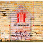 Guide to Rising Damp