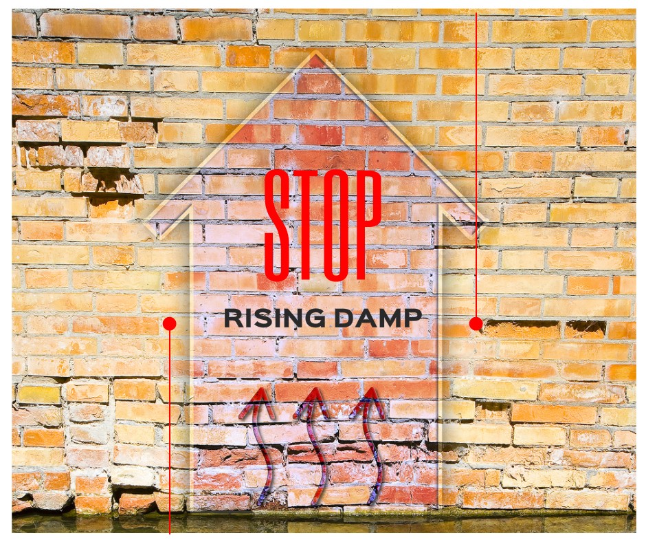TechDry® Guide to Rising Damp and DIY Instructions