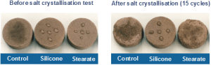 salt crystallisation test