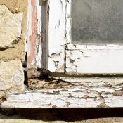 HOW TO SIMPLY IDENTIFY A DAMP HOUSE