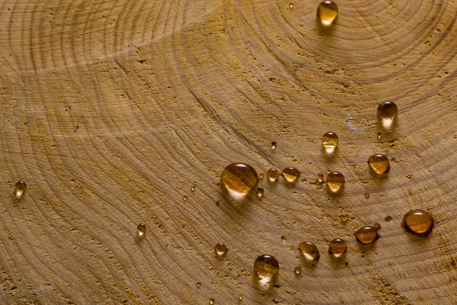 Preserving External Timber Near Its Original State TechDry