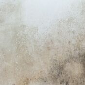 How to Identify a Damp House