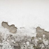 Damp-Proofing Made Easy: Stop Rising Damp and Wall Damage