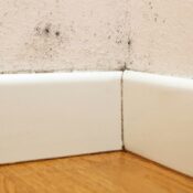 Stopping Rising Damp the Smart Way