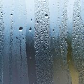Cold Mornings, Warm Days: Why Condensation Spikes in Autumn and Early Winter