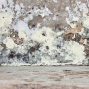 Why Damp Proof Courses Fail