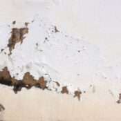 Salt Attack and Efflorescence: Rising Damp Treatments
